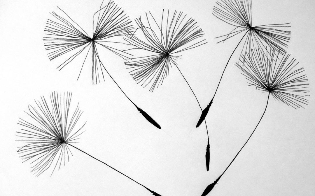 Remember your willingness!