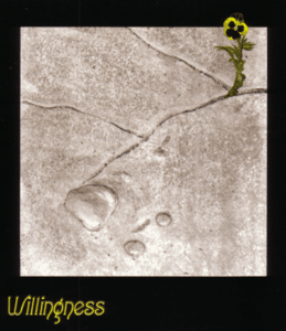 Willingness
