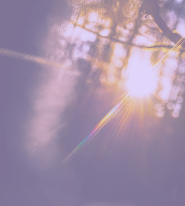 Purple sunlight