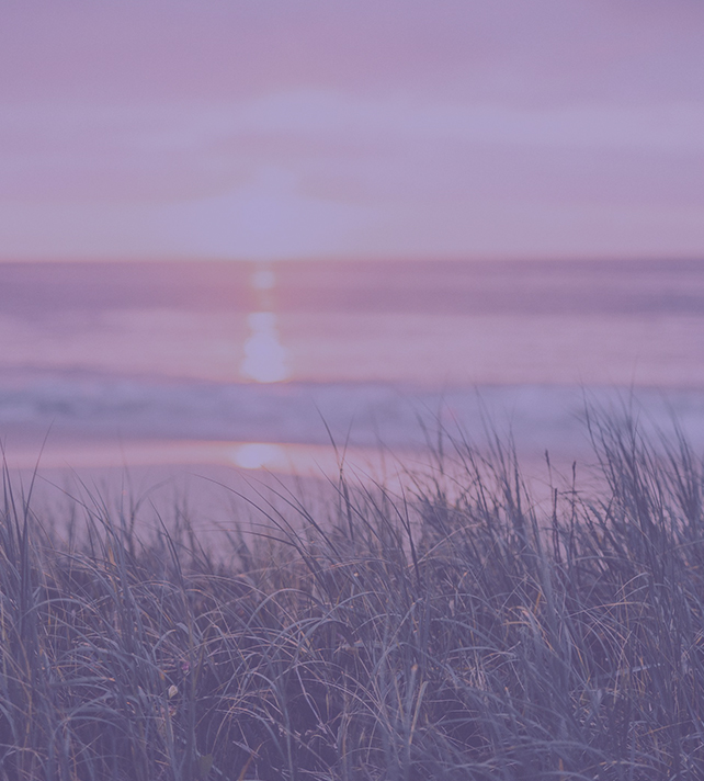 Purple beach